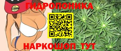 молекула духа Балашиха