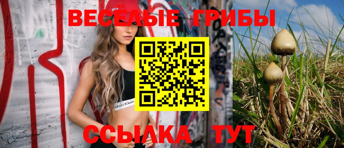 Батайск  Галлюциногенные грибы мицелий  Вход с VPN 
